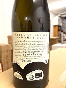 Judith Beck, Welschriesling Bambule 2022