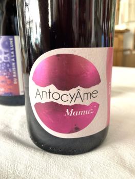 Antocyâmes, Mamuz 2024