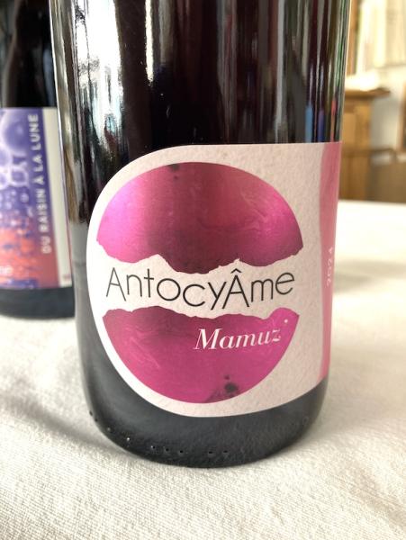 Antocyâmes, Mamuz 2024